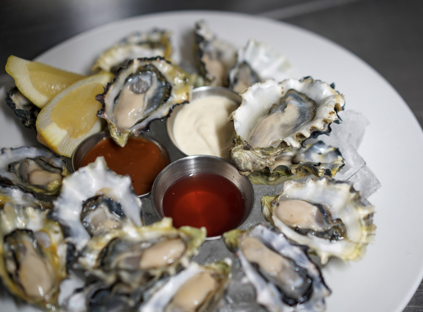 Fresh oysters at Ferris'